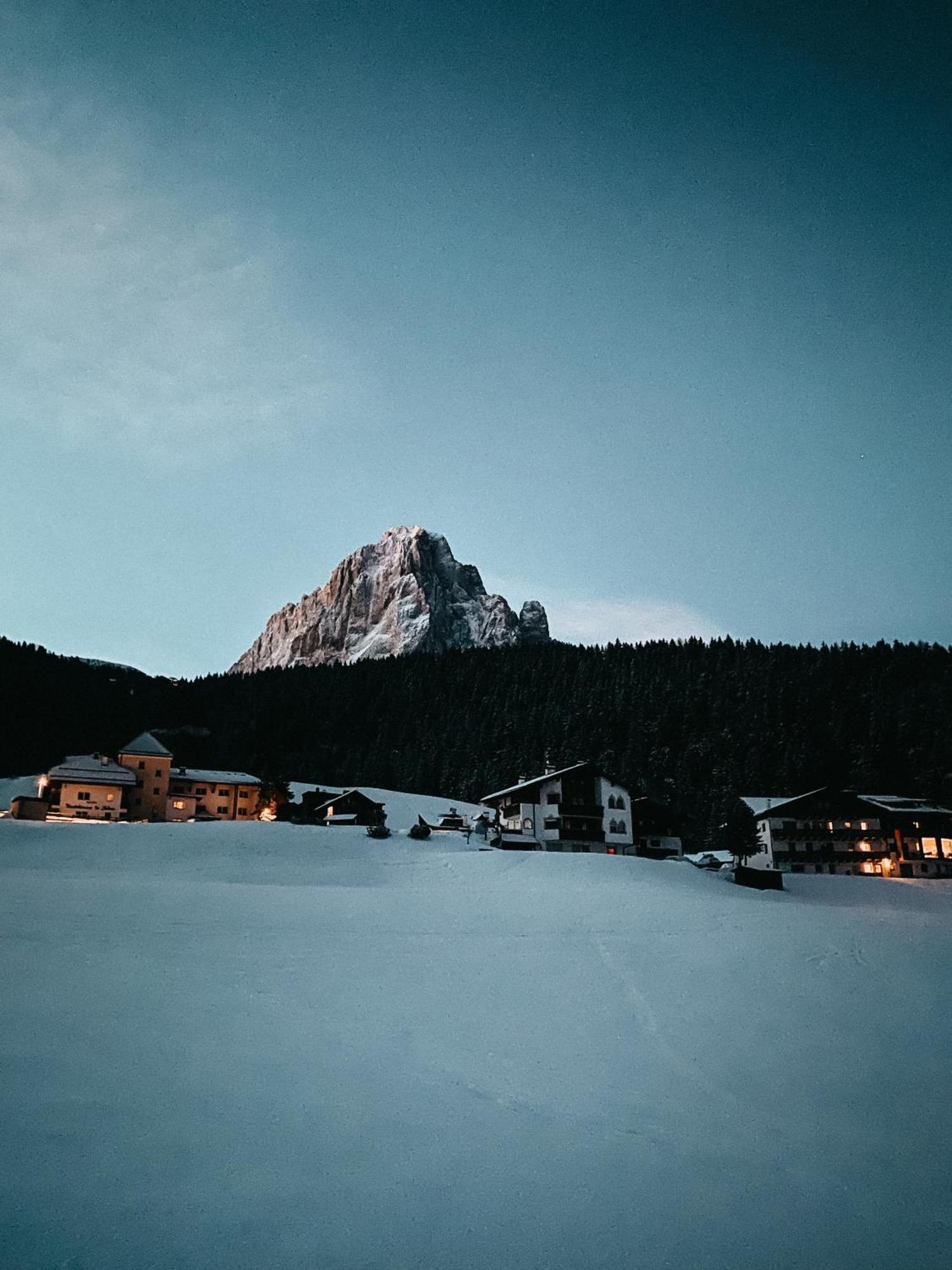 سيلفا دي فال جاردينا Mountain Chalet Pra Ronch المظهر الخارجي الصورة